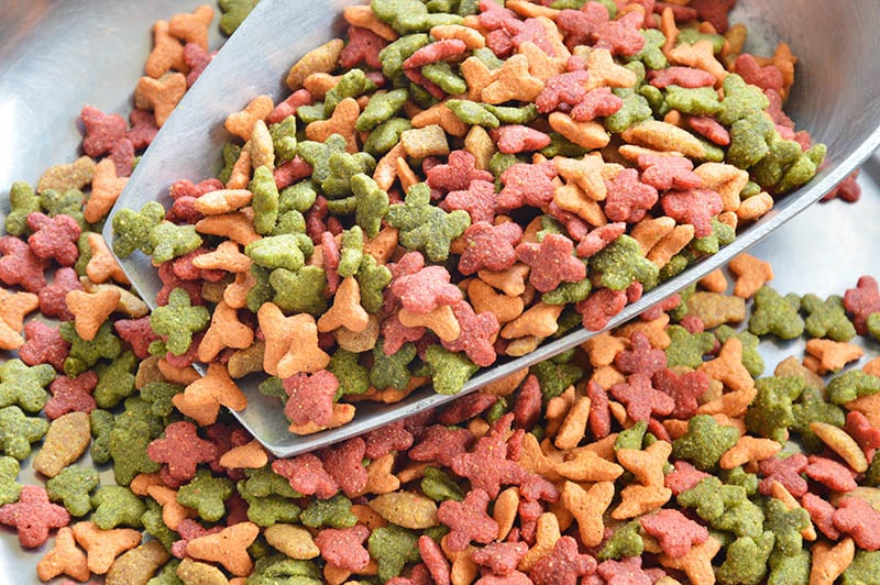 close up scooping cat food