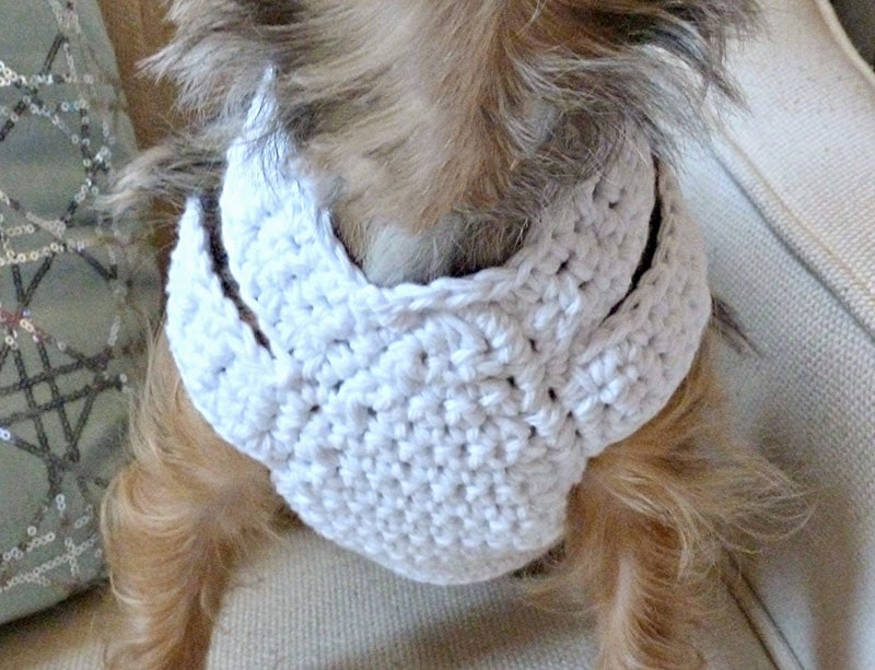 diy crocheted dog harness