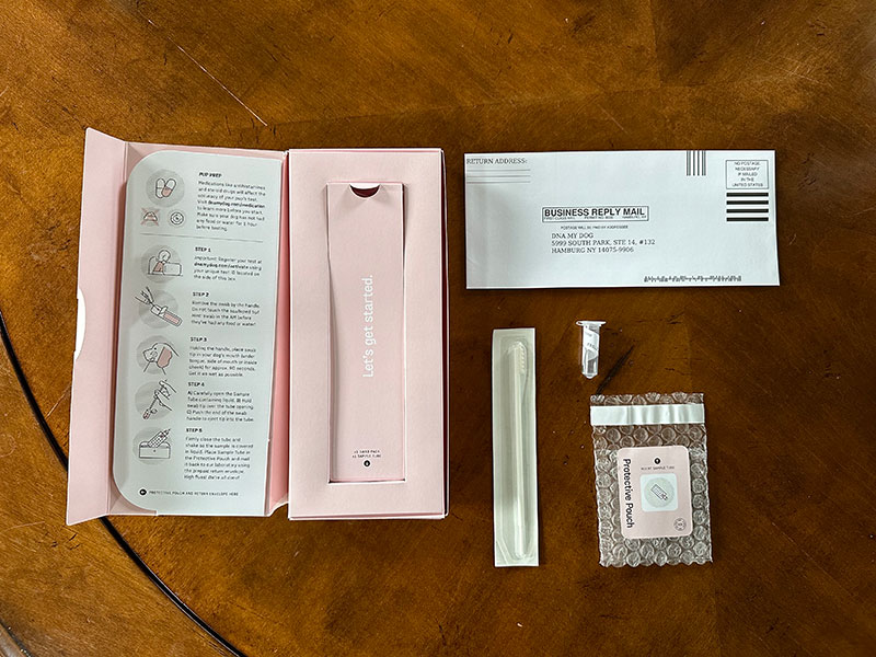 dna my dog canine allergy test kit contents