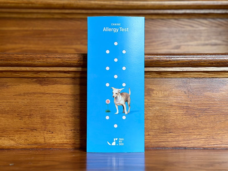 dna my dog canine allergy test kit packaging