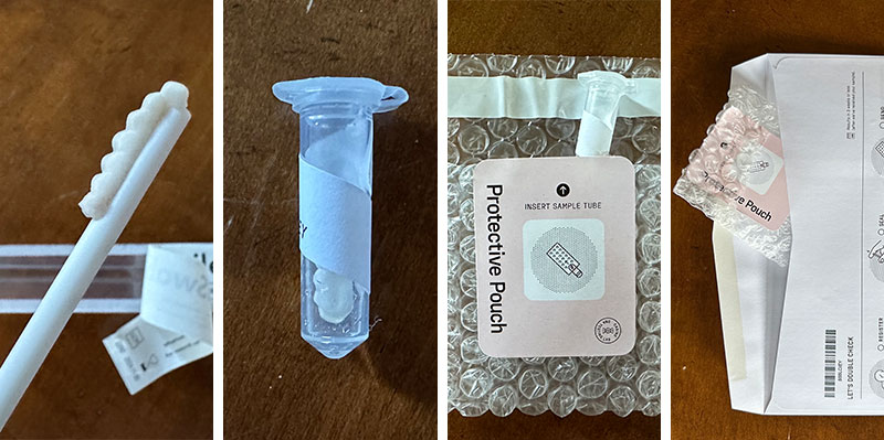 dog swab sample for allergy testing