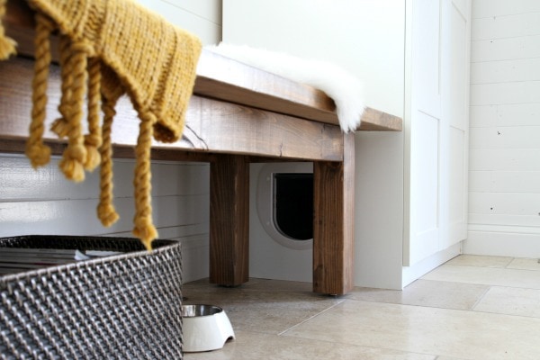 hidden litter box