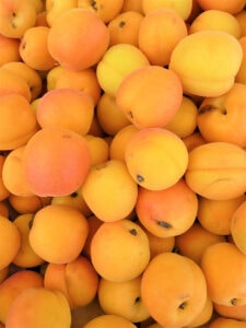 Can Dogs Eat Apricots? Vet-Approved Nutrition Facts Hepper Pet Resources