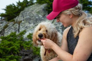 How Long Do Goldendoodles Live? Vet Reviewed Lifespan, Data & Care