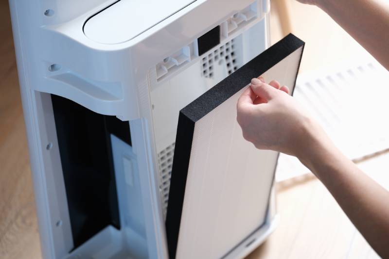 woman removes the filter from the air ionizer