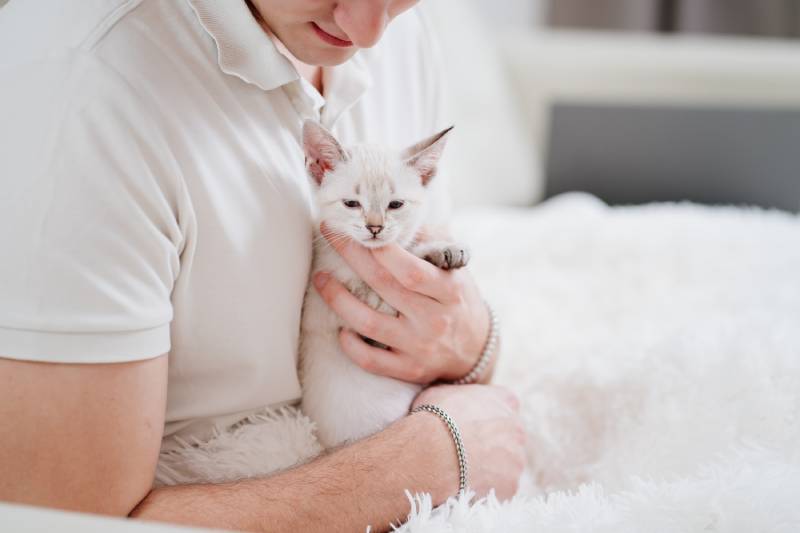 young man holds a small white kitten