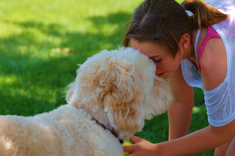 young woman and goldendoodle dog nose to nose with each other