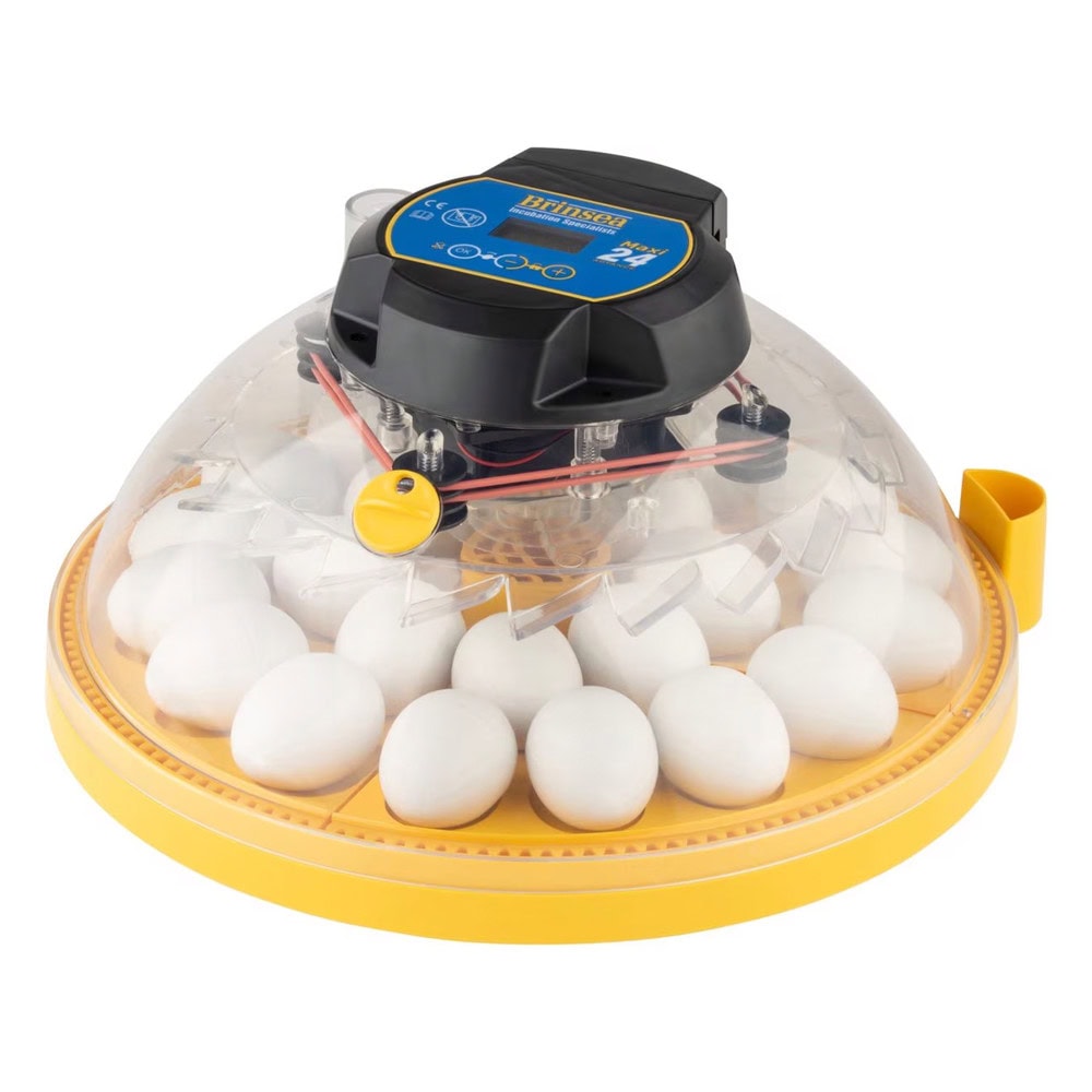 Brinsea Maxi 24 Advance Automatic 24 Egg Incubator