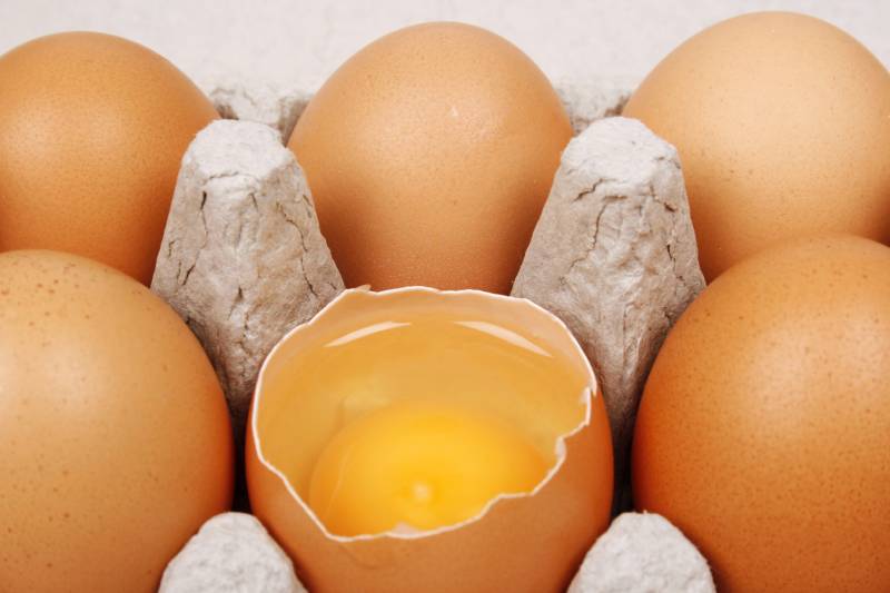 Broken egg in eggbox