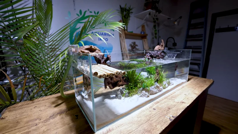 DIY Baby Turtle Tank with a Tiny Home
