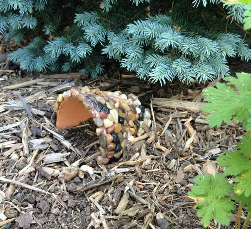 DIY Toad House