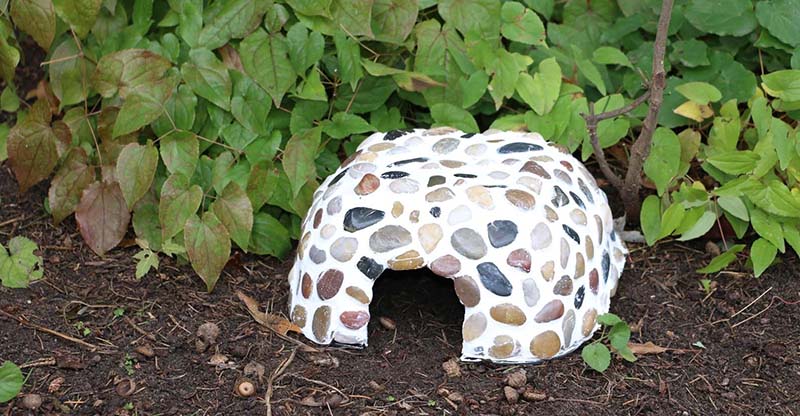 DIY Toad House
