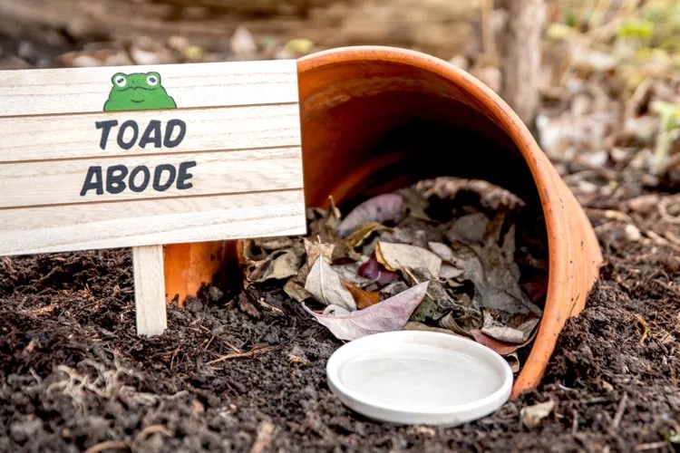 DIY Toad House