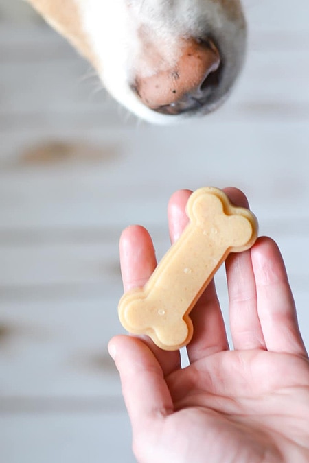 Gelatin Peanut Butter Treats