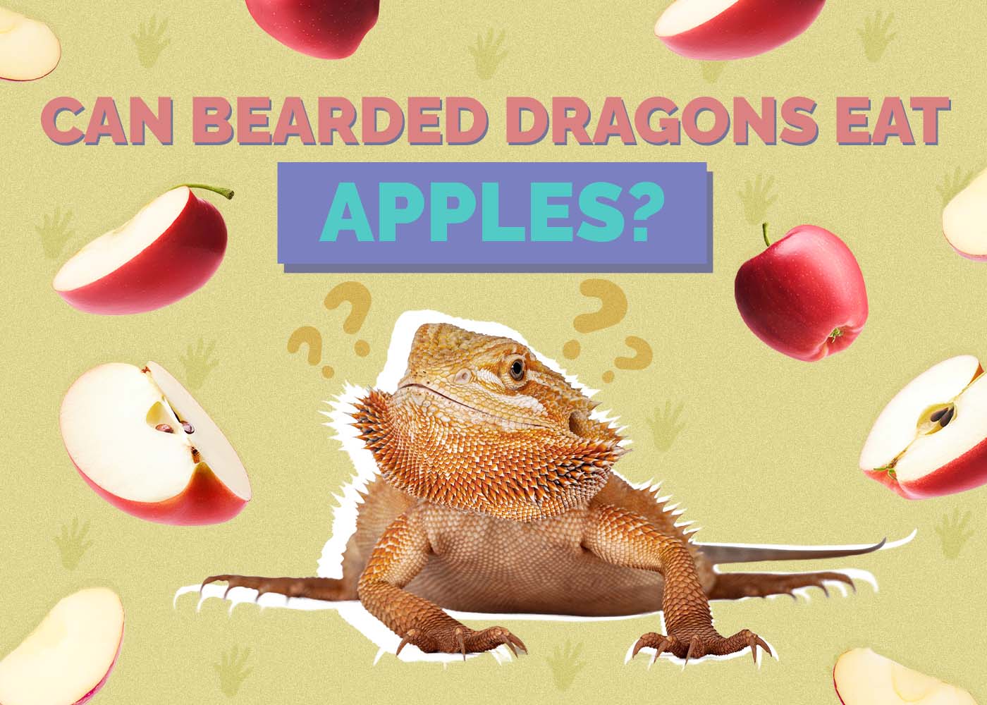 Hepper_Can Bearded Dragons Eat_Apples