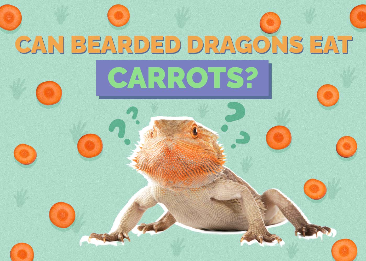 Hepper_Can Bearded Dragons Eat_Carrots