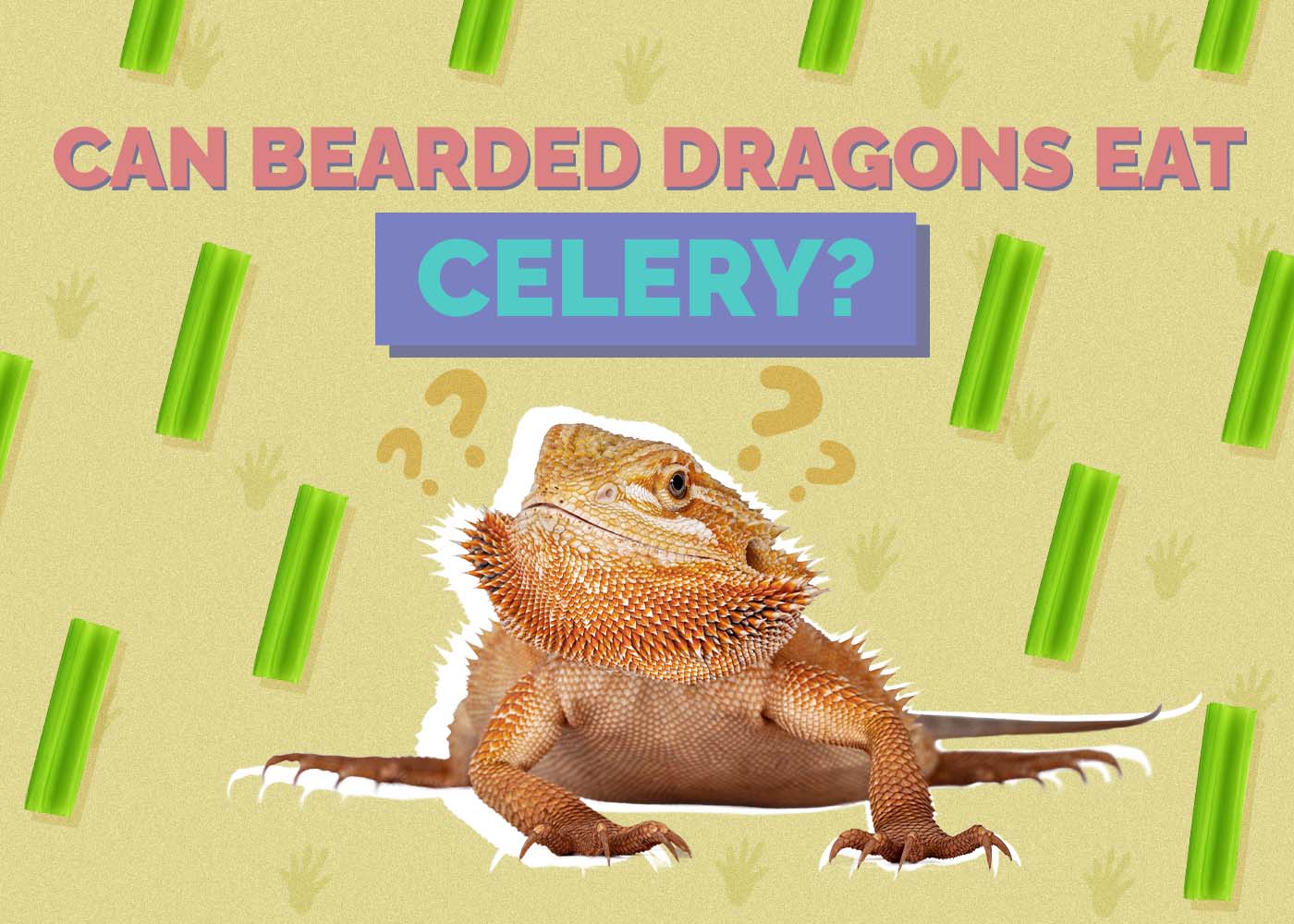 Hepper_Can Bearded Dragons Eat_Celery