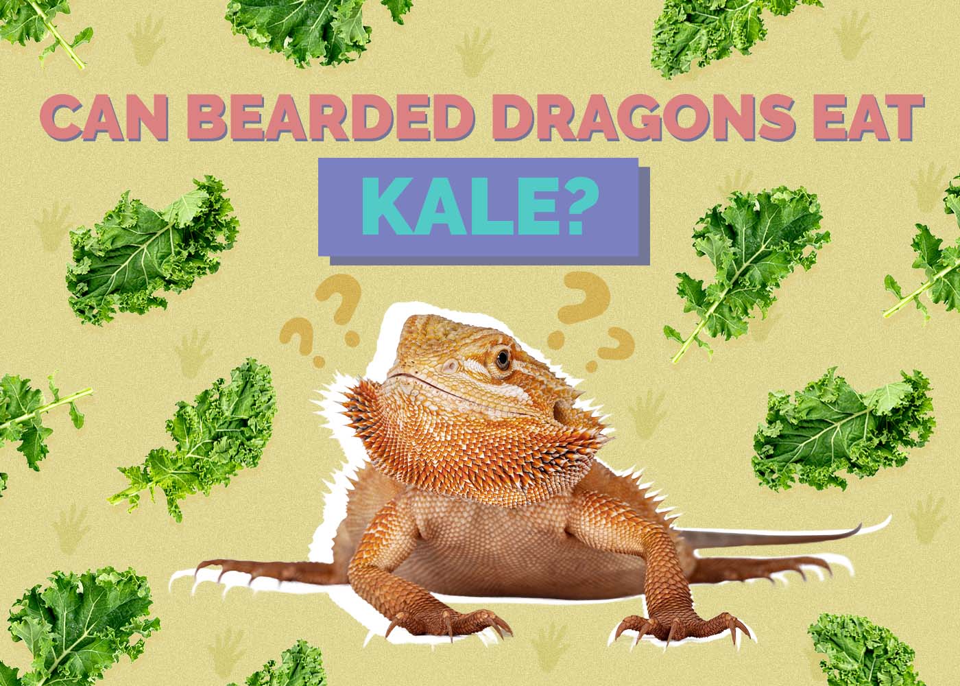 Hepper_Can Bearded Dragons Eat_Kale
