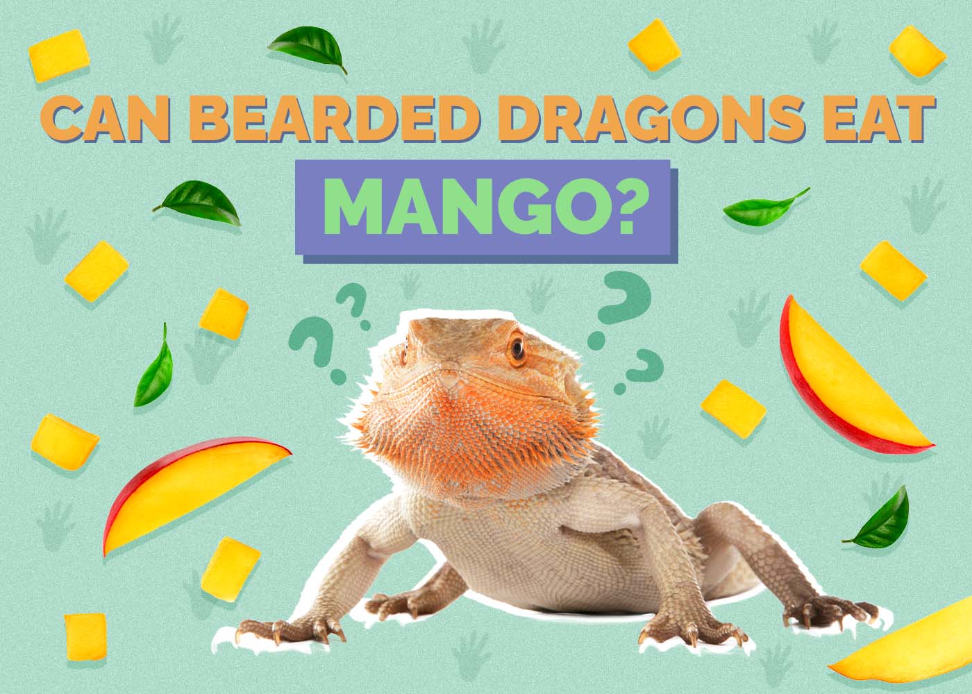 Hepper_Can Bearded Dragons Eat_Mango