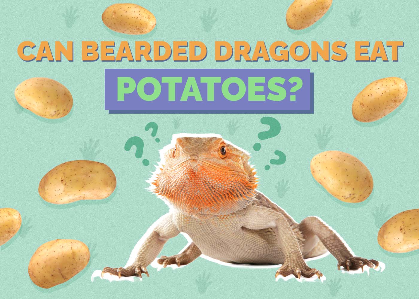 Hepper_Can Bearded Dragons Eat_Potatoes