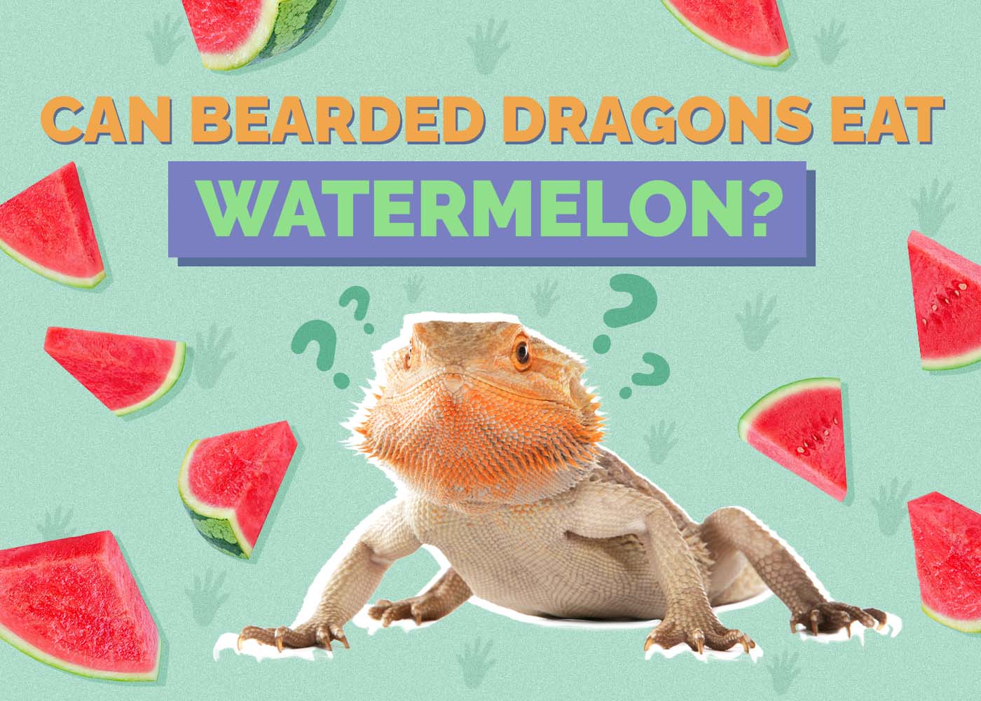 Hepper_Can Bearded Dragons Eat_Watermelon