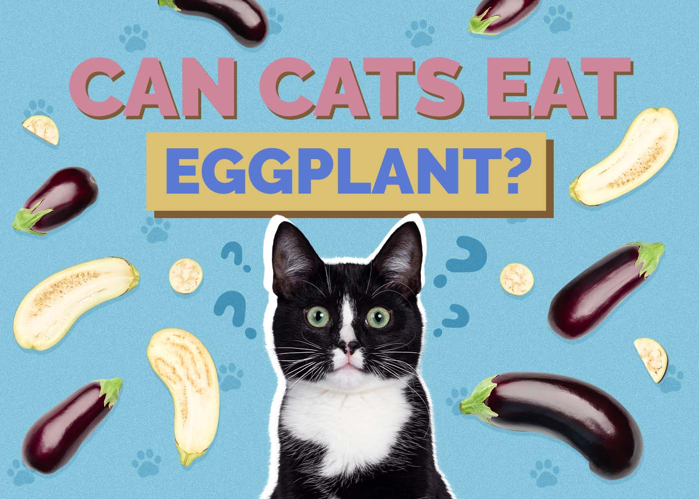 Hepper_Can Cats Eat_Eggplant