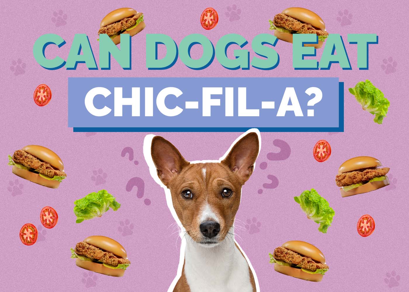 Hepper_Can Dogs Eat_Chick-Fil-A