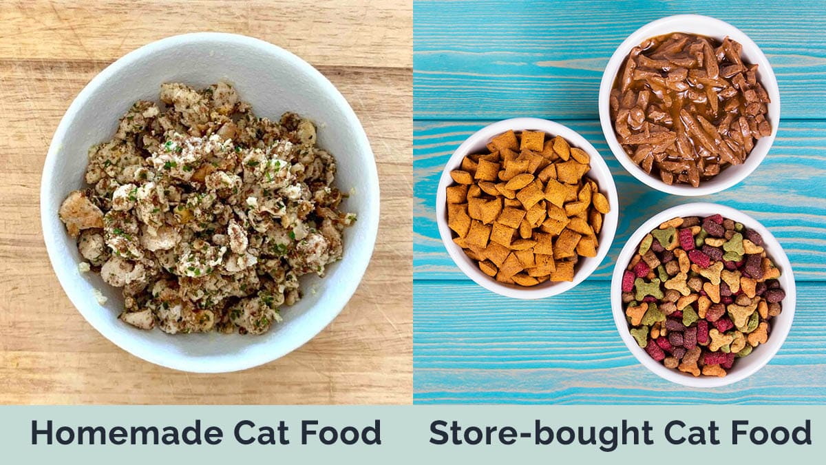 Homemade Cat Food vs Store-bought Cat Food side by side