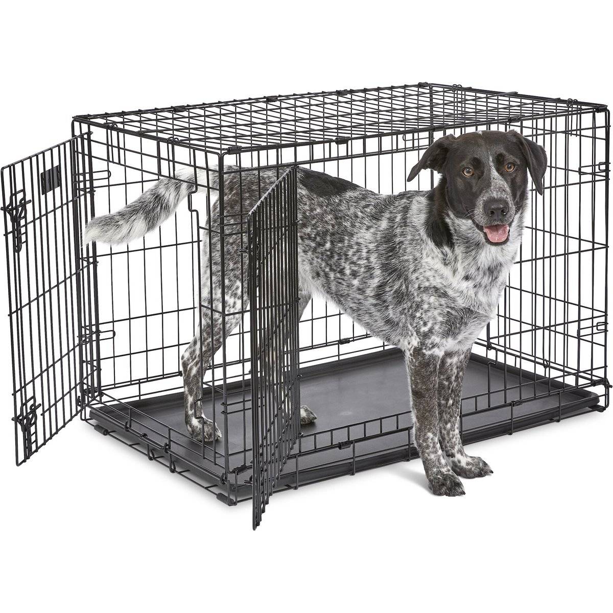 MidWest iCrate Fold & Carry Double Door Collapsible Wire Dog Crate