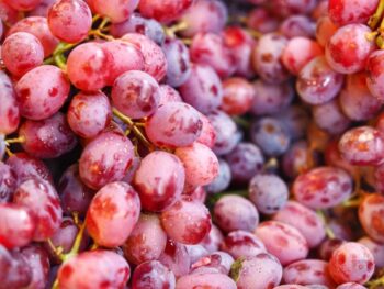 Image showcasing Are Dogs Allergic to Grapes? Vet Approved Facts & FAQs | Hepper Pet ...