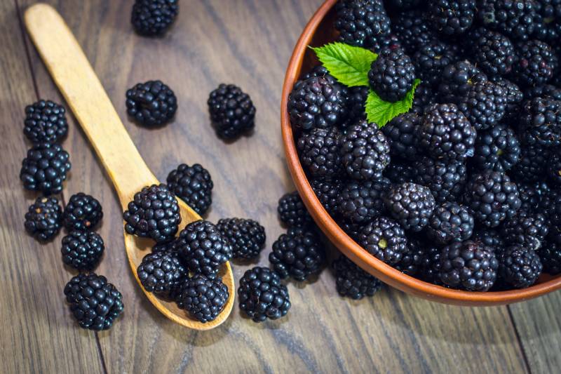 Ripe blackberries with leaves in a clay bowl on a light wooden background