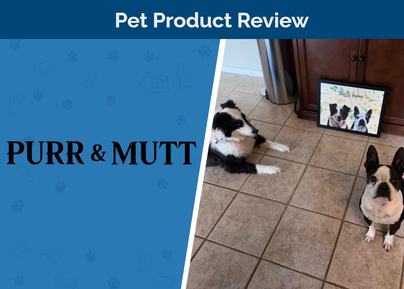 purr-&-mutt-two-dogs-sitting-by-portrait