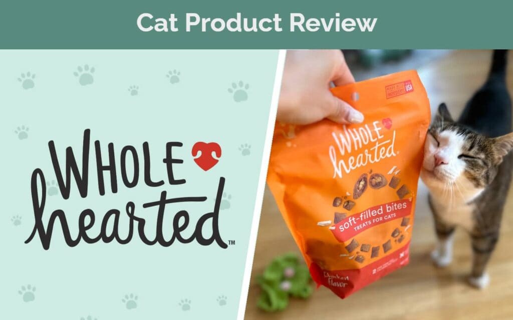 SAPR-Whole-hearted-cat-food-cat-with-food-bag