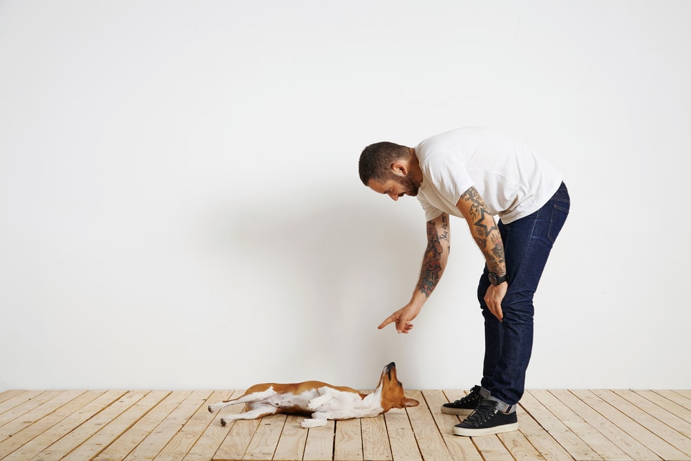 Tattoed man training a dog to roll over