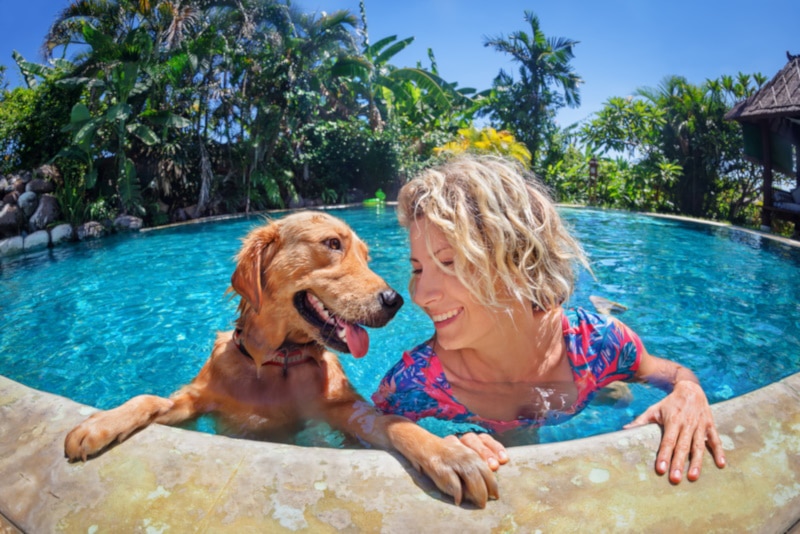 Woman training dog in the pool