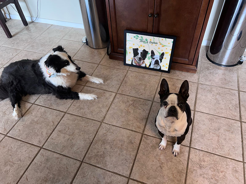 aero and sophie and their personalized portrait from purr & mutt