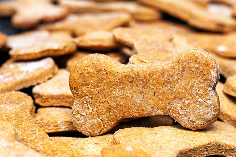 bone-shaped homemade dog cookies