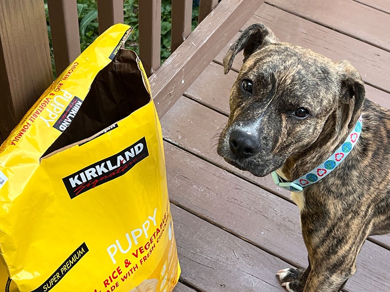 boxer mix puppy and kirkland signature super premium puppy food packaging