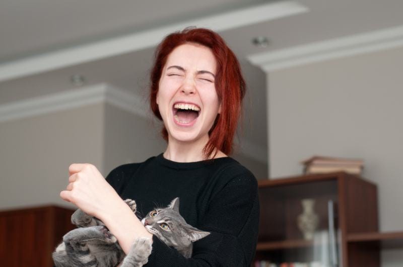 cat hugging woman's arm then biting owner