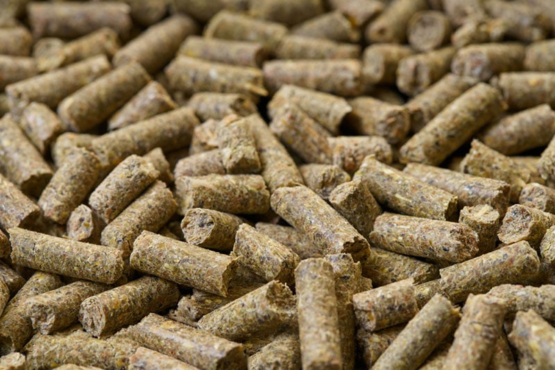 close up of rabbit pellets
