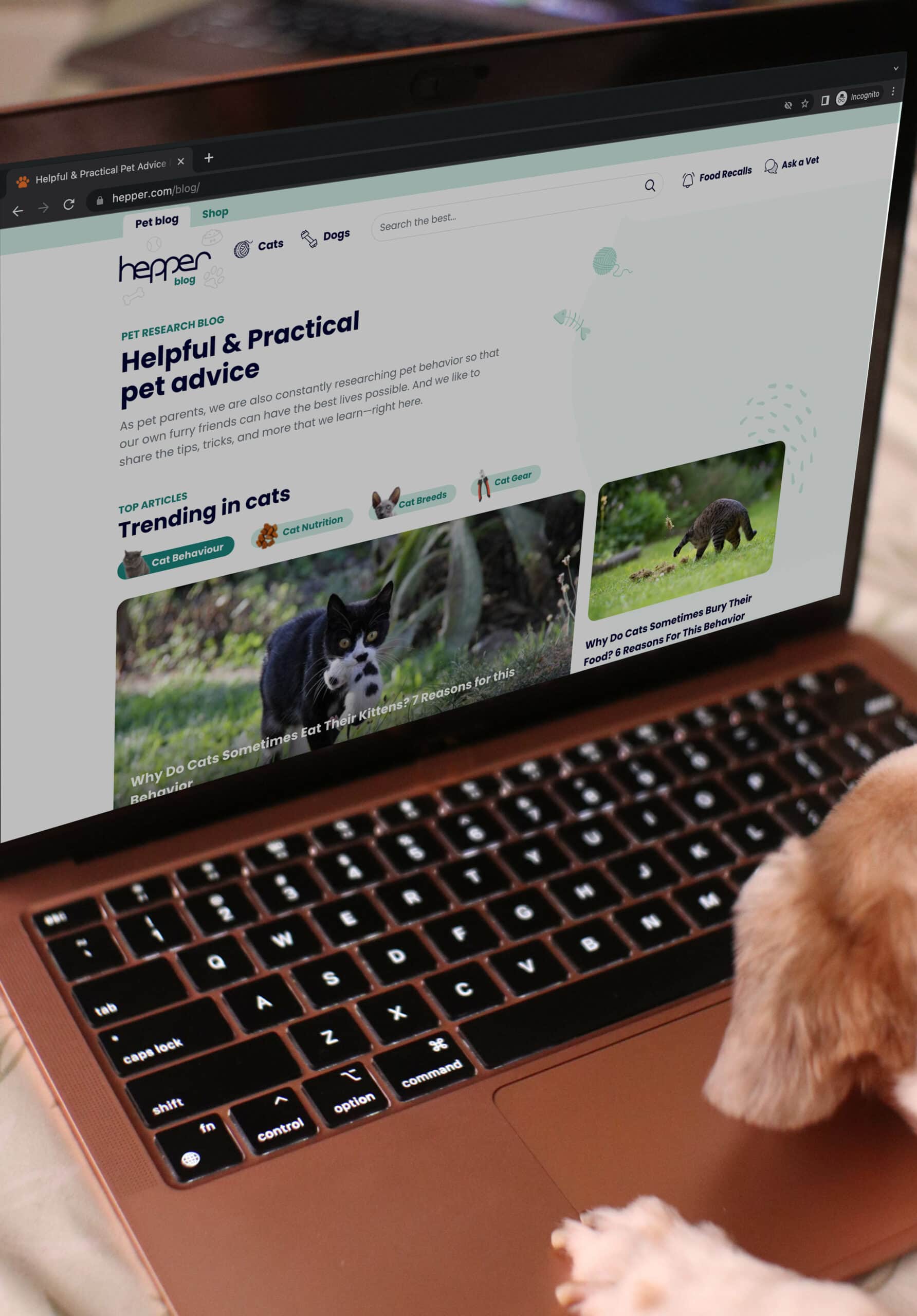 dog browsing Hepper blog website on a laptop