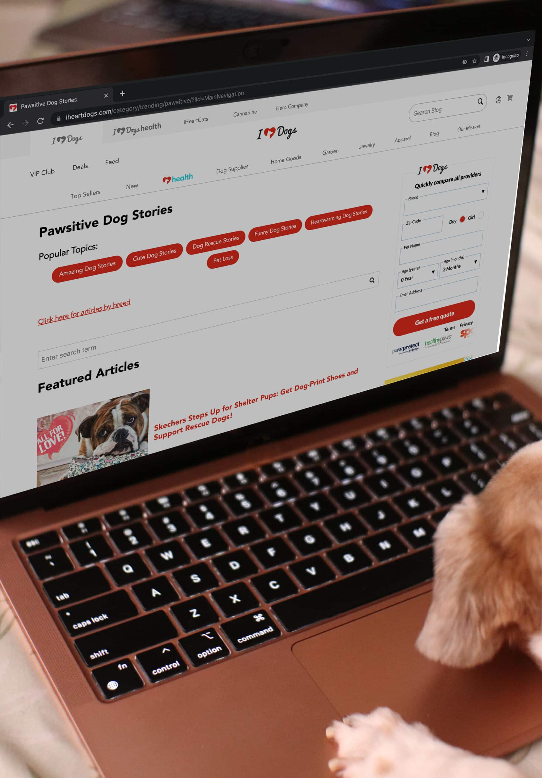 dog browsing IHeartDogs website on a laptop