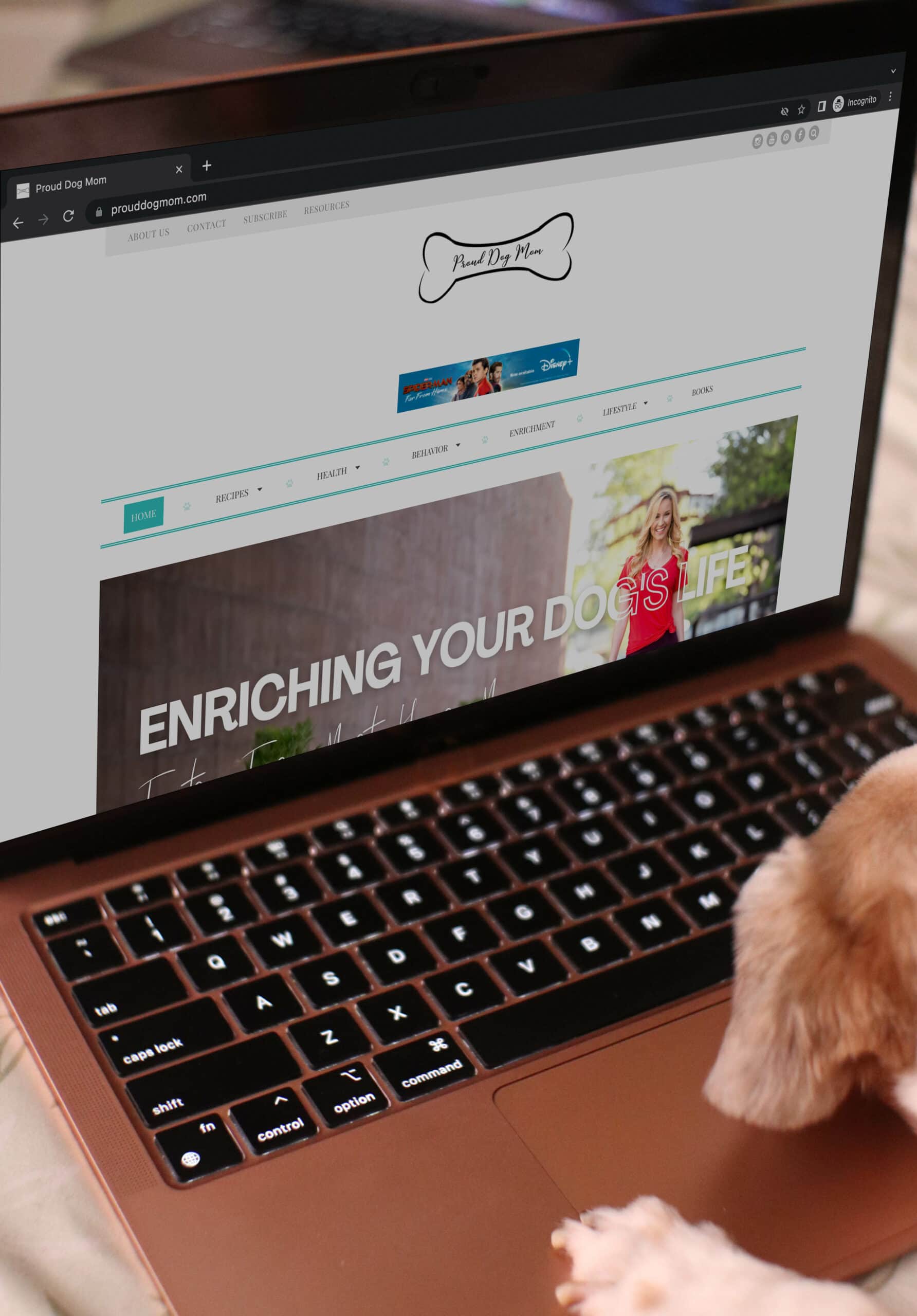 dog browsing Proud Dog Mom website on a laptop