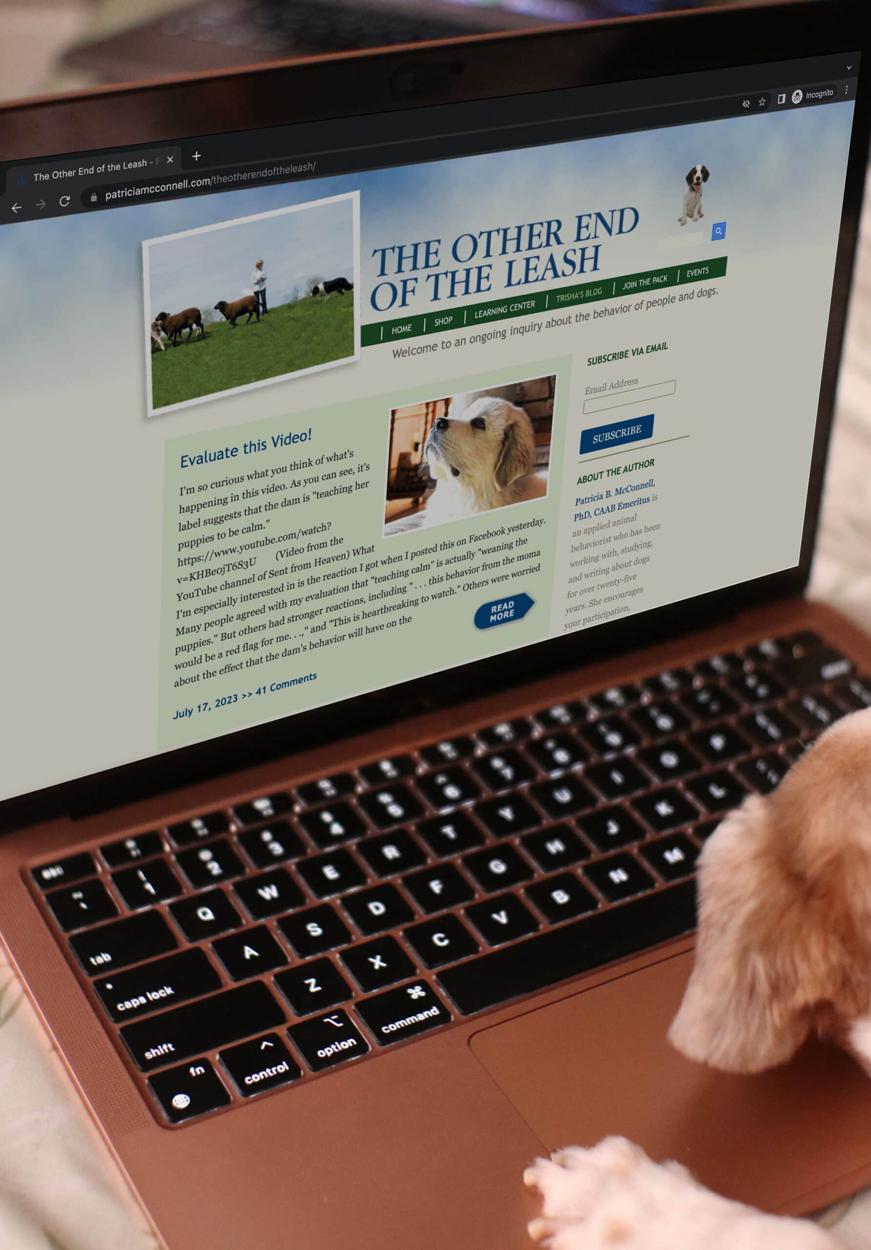 dog browsing The Other End of the Leash website on a laptop