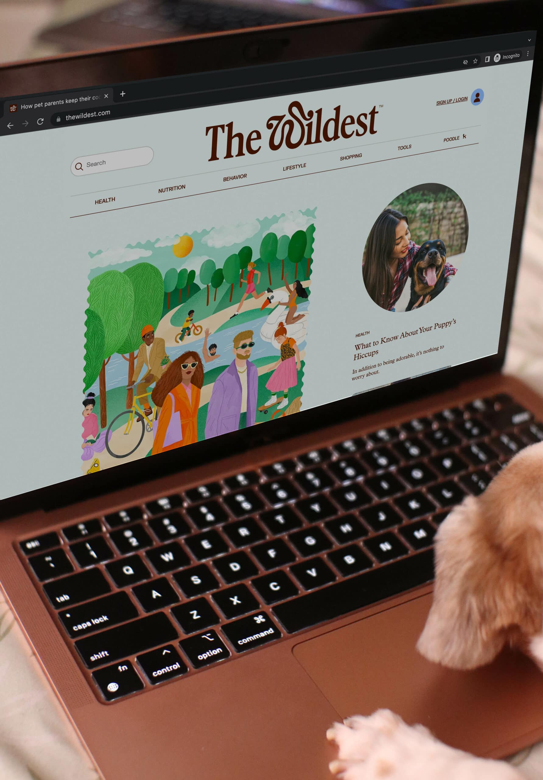 dog browsing The Wildest website on a laptop