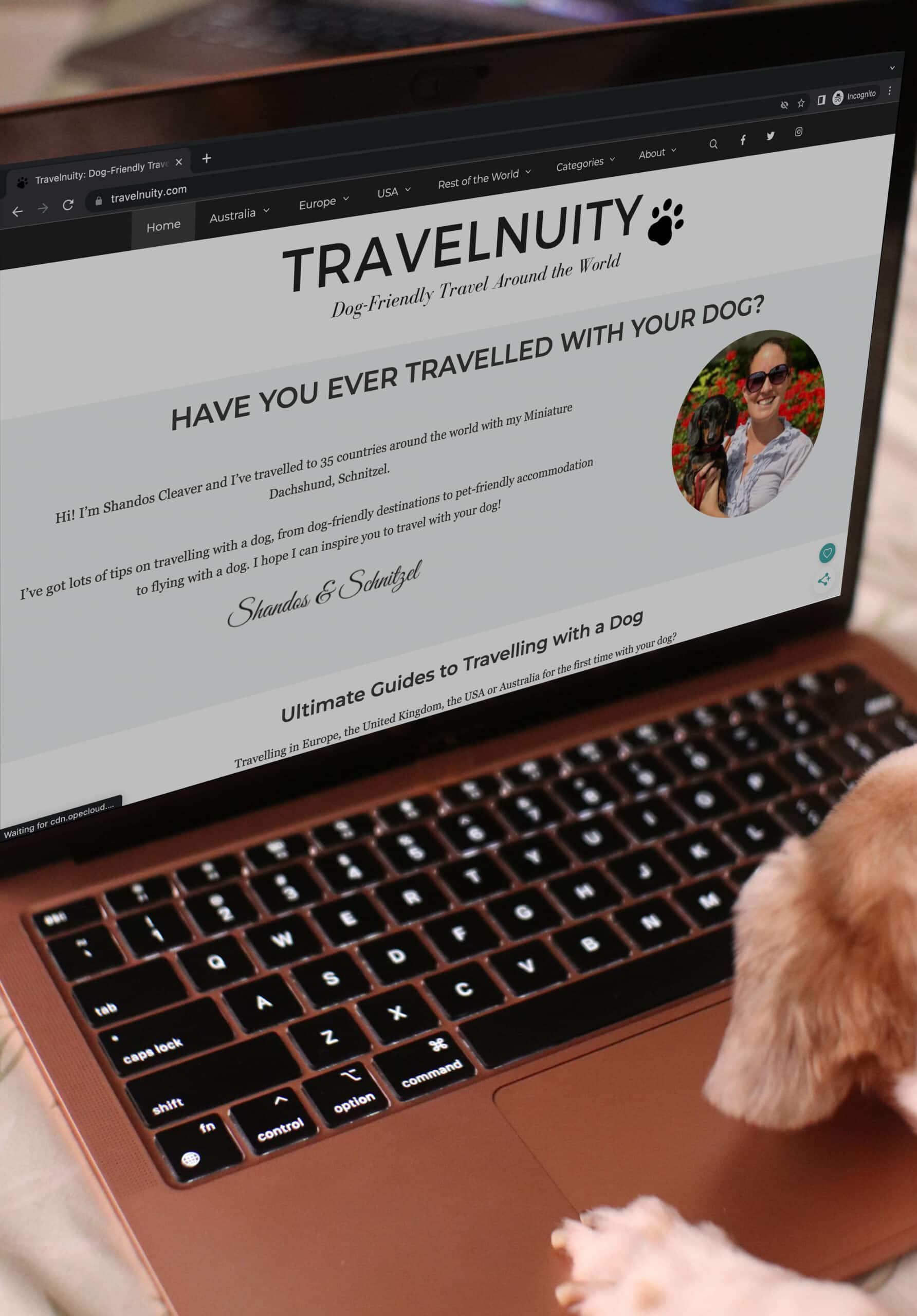 dog browsing Travelnuity website on a laptop