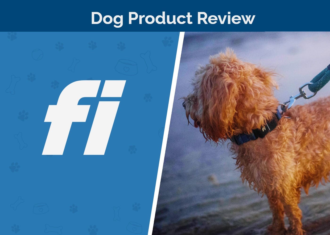 FI Smart Dog Collar Review SAPR Featured Image