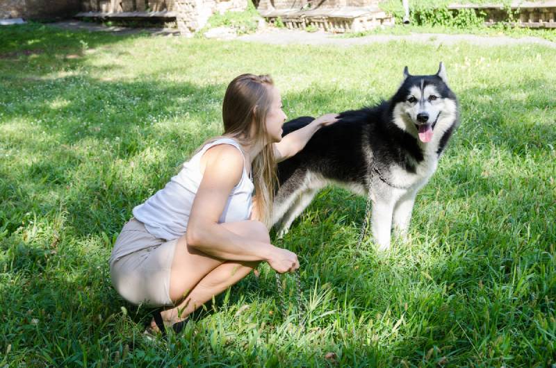 girl owner petting her dog's back