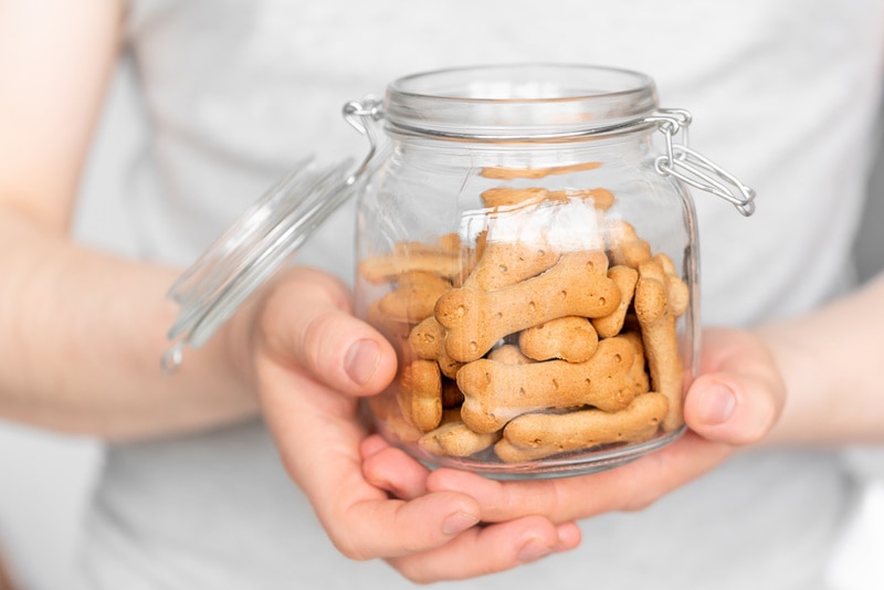 man holding dog treats on the jar