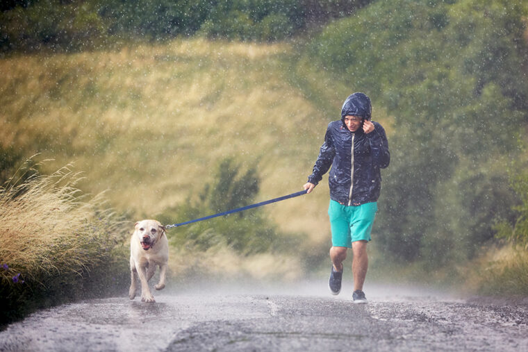 Image result for How Much Exercise Does a Dog Need? Vet-Approved Facts & FAQ | Hepper ...